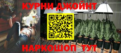 сатива Обнинск