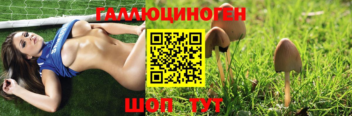 Галлюциногенные грибы MAGIC MUSHROOMS  Псилоцибиновые грибы Psilocybe  Вход с VPN  Серпухов 